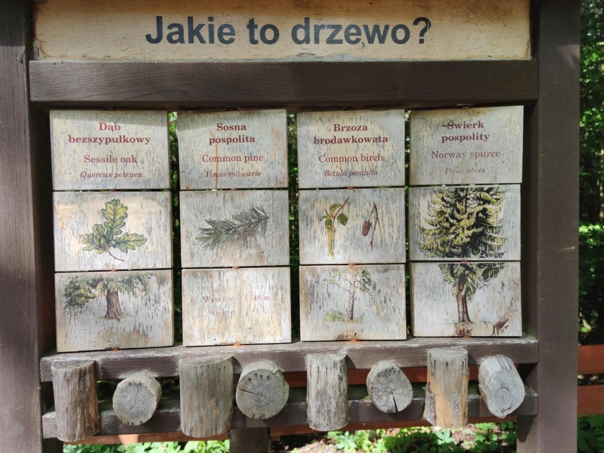 Willa Janina Lądek-Zdrój Extérieur photo